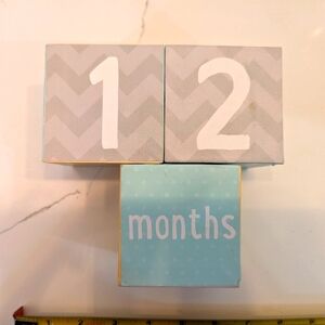 Baby milestone blocks. Age in days, weeks, months, year.